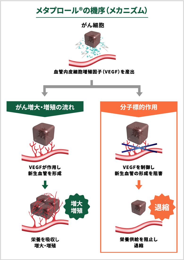 メタプロール®の機序（メカニズム）